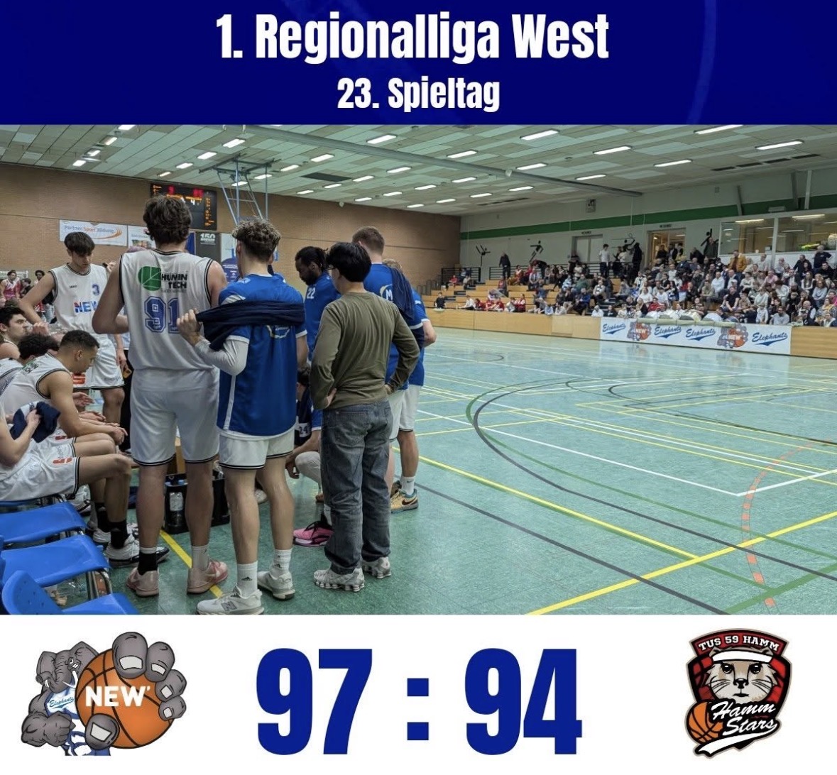 Ergebnis HammStars