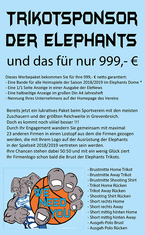 999Flyer rechts 500